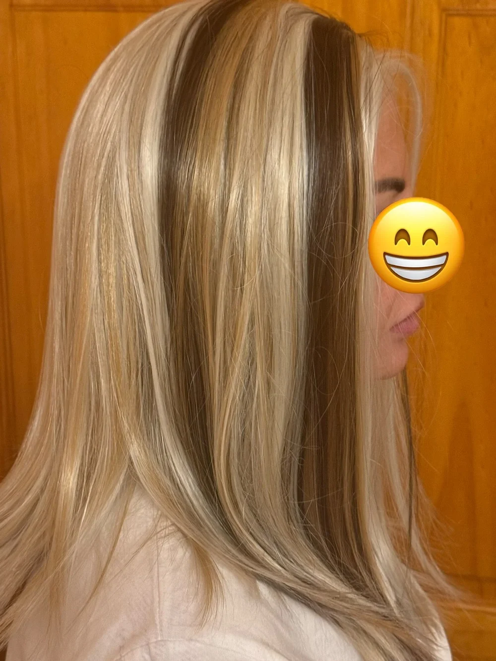 Lace Front Straight Wig Light Blond/Dark Brown Highlights Clip-In Free-Part